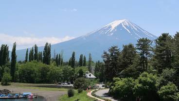 ランド ビュー / 11