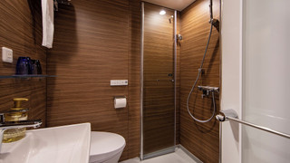 ハリウッドツイン