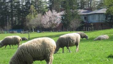 施設の敷地 / 23