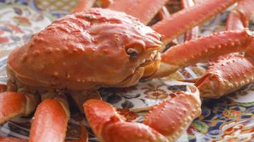 旅館のお食事処 / 39