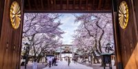 東京の開花宣言の基準はココ！桜の名所「靖国神社」を参拝しよう