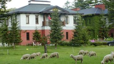 施設の敷地 / 20