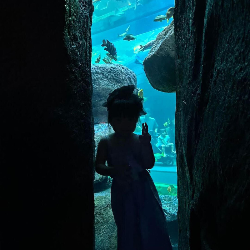 minmin.ar12さんの写真 / 1