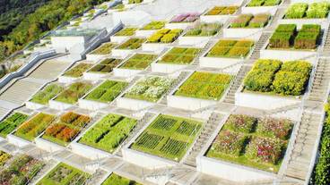 ランド ビュー / 24