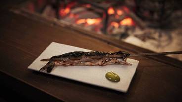 食事・飲み物 / 18