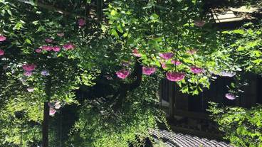 観光スポット / 20