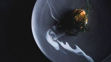 レストラン / 20