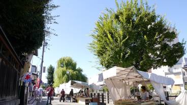 観光スポット / 22