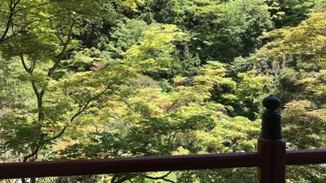 施設からの眺望 / 3