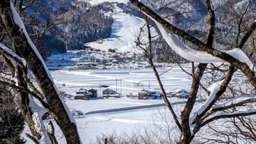 観光スポット / 11