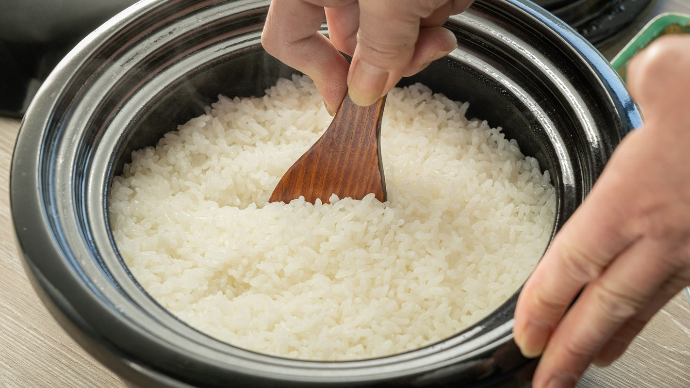 朝食 九州産コシヒカリ