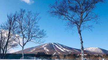 施設の敷地 / 28