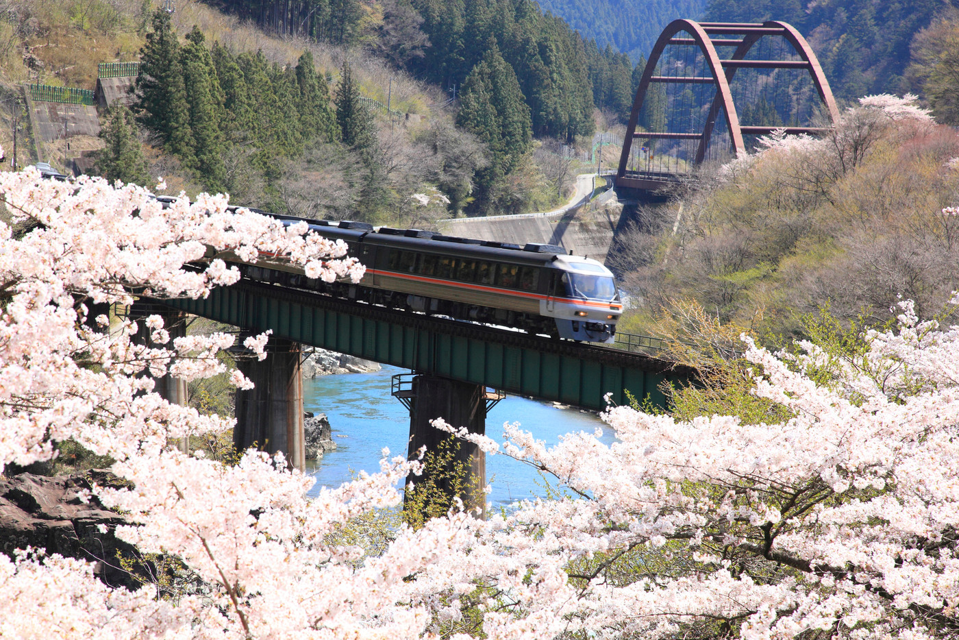 飛騨川鉄橋と桜