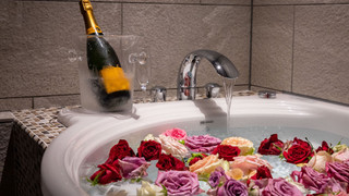 ジュニア スタジオスイート