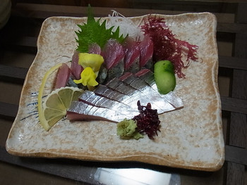 「てれすこ」料理 881445 さばのお造り