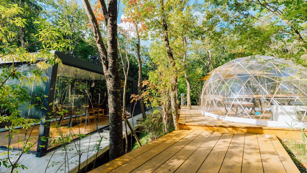 お食事用のクリアテント / 3