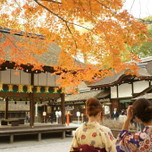 観光ついでに運気アップ？京都市内の「美にまつわるパワースポット」6選
