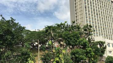 施設からの眺望 / 8