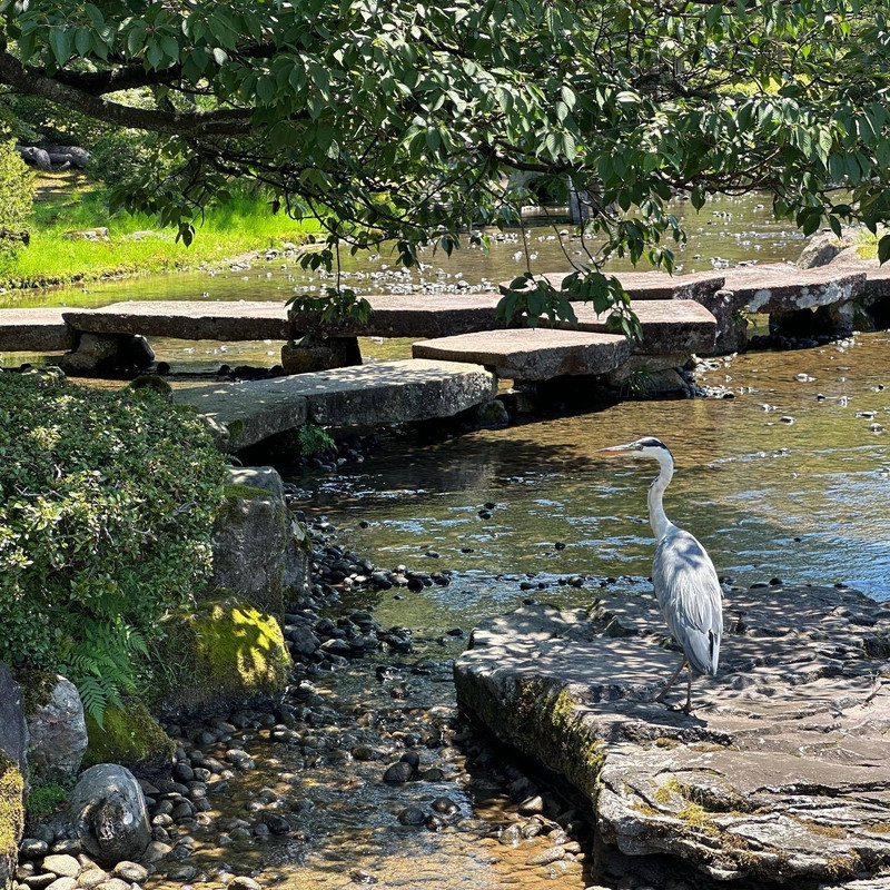 ikeyankoさんの写真 / 2