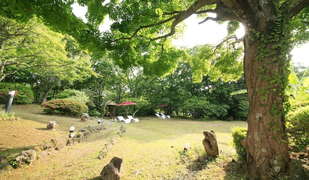 のんびりお散歩して
チェックアウト
 / 2