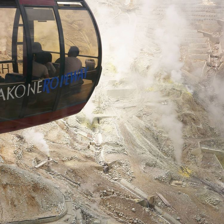 mogumogu_momoさんの写真 / 3