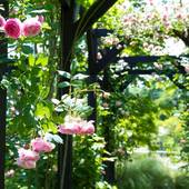 ルゼ ヴィラ（長野県 ペンション） / 4