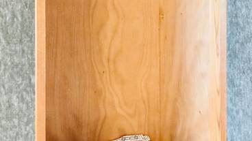 ワードローブ / 29