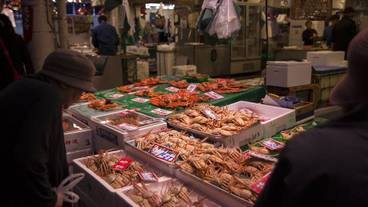 観光スポット / 15