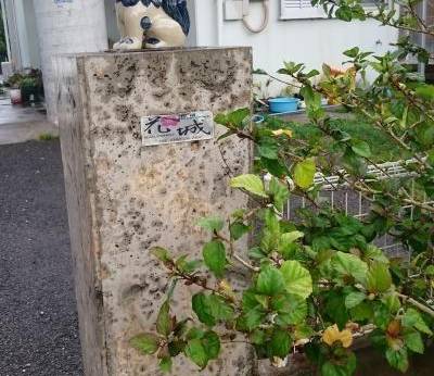 民宿花城（沖縄県 民宿） / 1