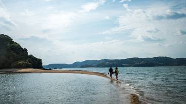 施設からの眺望 / 24