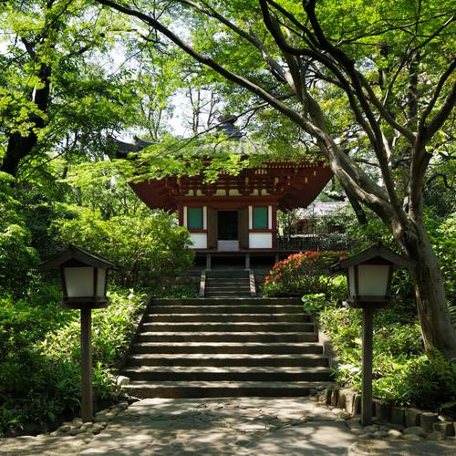風情あふれる日本庭園で
心まで深呼吸 / 1