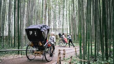 ランド ビュー / 11