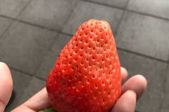 道の駅 なら歴史芸術文化村