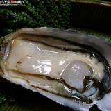 旬海（シュンカイ）