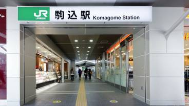 施設の敷地 / 13