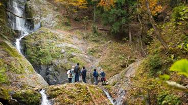 ランド ビュー / 12