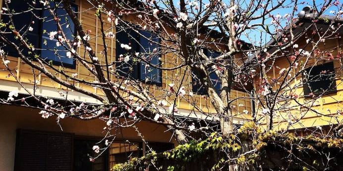 ゲストハウス 鎌倉ZEN-JI（神奈川県 ゲストハウス・ホステル・ドミトリー） / 1