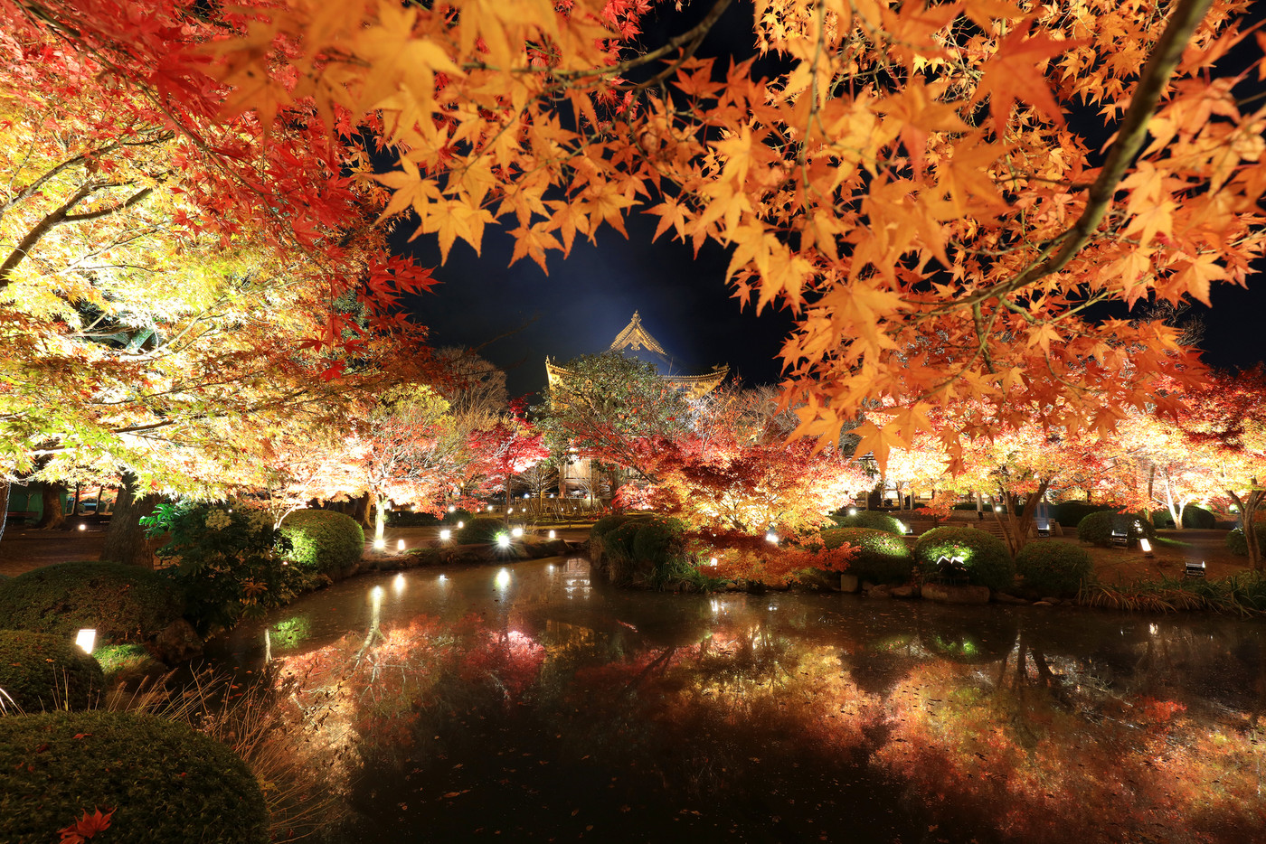 この秋は、紅葉の絶景と絶品スイーツを堪能する、“特別な” 京都旅へ1948086