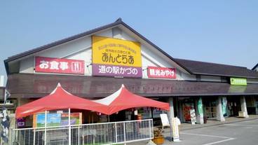 デザイナーショップ / 15