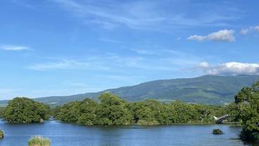 観光スポット / 6