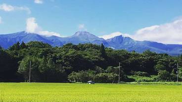 マウンテン ビュー / 31