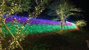 施設の敷地 / 13