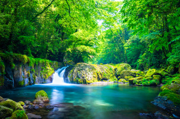 Beautiful Kikuchi Valley with fresh greenery