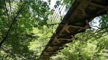 観光スポット / 4