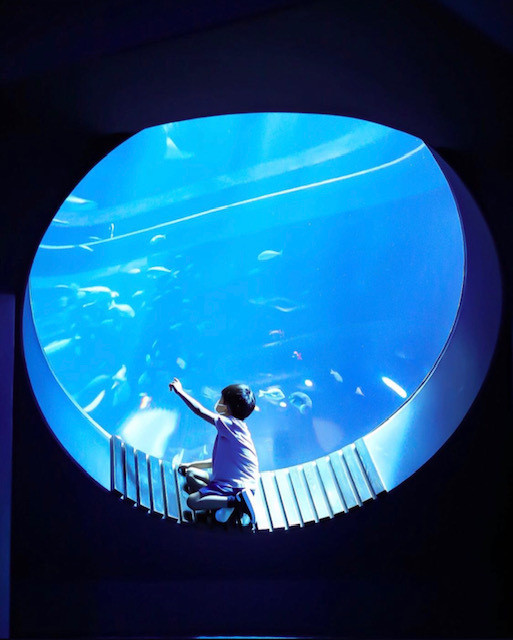 akyeeeee.nさんの写真 / 1