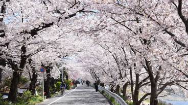 観光スポット / 13