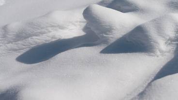 施設からの眺望 / 21