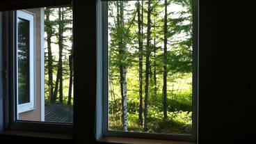 部屋からの景観 / 6