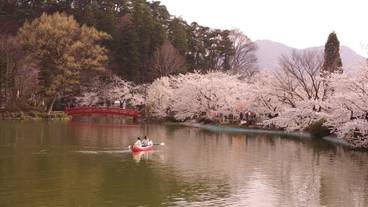 観光スポット / 17