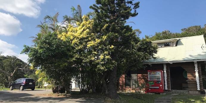 Nature GuestHouse Long Island(沖縄県 ペンション) / 1